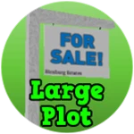 Large Plot