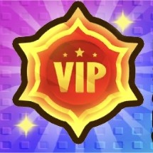 VIP PLUS +